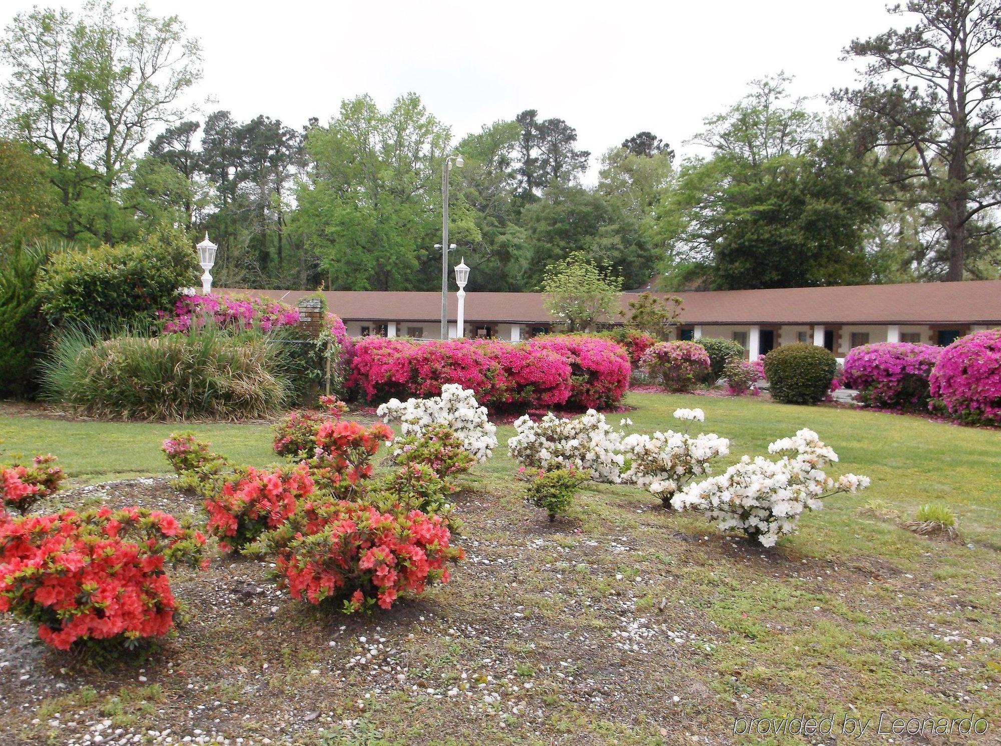 Azalea Inn & Suites Wilmington Esterno foto